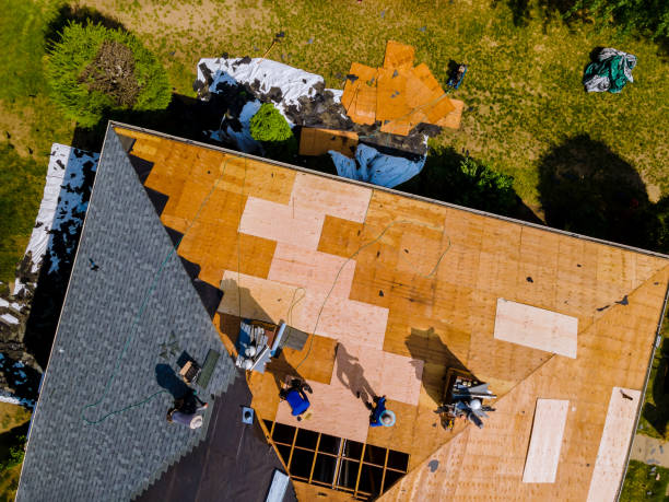 Best Roof Repair Services  in Oberlin, LA