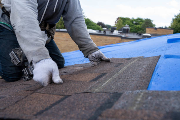 Best Metal Roofing Contractor  in Oberlin, LA